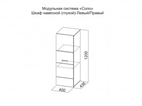 Шкаф навесной (глухой) Левый в Новом Уренгое - novyj-urengoj.magazin-mebel74.ru | фото